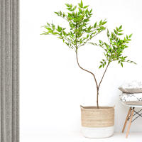 Planta Artificial De Bambú Y Hojas De Nandina Verde Falso Para Decoración De Jardín Interior Y Exterior Tamaño Grande 76-140cm - details 4