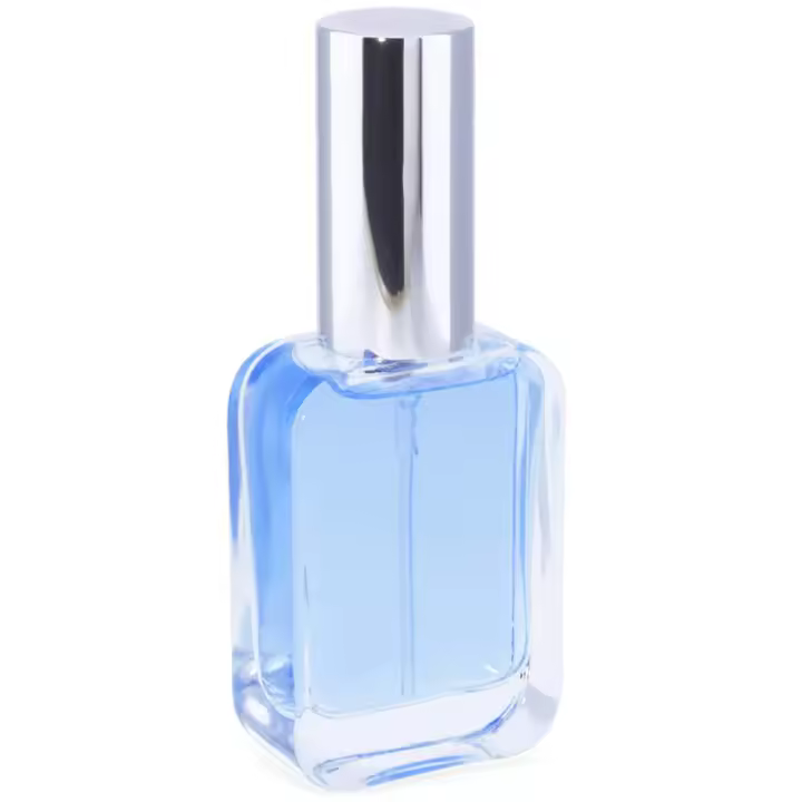 Frasco perfume  petaca plateado pulverizador | Crea tus fragancias únicas con este envase recargable y elegante. - 1