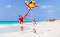 Nuevo Volo De Águila Juguete De Playa Para Niños Con Manija Y Cuerda Deportes Al Aire Libre Divertidos Y Seguros - details 1