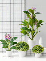 Plantas Artificiales De Azalea 21-40cm Falsas Hojas De Palma Tropicales Ficus Faux Con Flores Para Decoración De Hogar - details 8