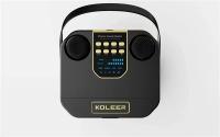 Altavoz Subwoofer de Karaoke con Microfono Doble, Bluetooth, 100W, Cambiador de Voz - details 15
