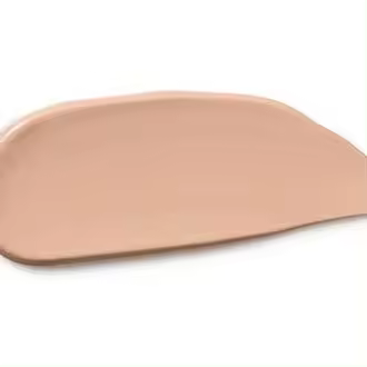 Dr. Hauschka Concealer 02 Chestnut 2_5Ml - 1