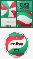 Voleibol Molten FLISTATEC Tamaño 5 PU Para Competencia Y Entrenamiento De Adultos Adolescentes Y Estudiantes Indoor Outdoor - details 7