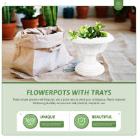 Maceta Plástica Para Plantas Hidroponicas Decorativa Para El Hogar Y Balcones Adecuada Para Scindapsus Y Otros Plantas - details 3