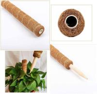Tótem de musgo de coco Palo de coco para planta Tótem de musgo de coco para planta de jardín Plantas trepadoras de interior Plantas trepadoras de extensión, 30cm, 2 piezas - details 2