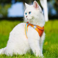 Correa Para Perros Y Gatos Nuevo Tipo De Correa De Pecho Con Cuello Colorido Set De Correas Para Pasear Mascotas Suministros Para Mascotas - details 1