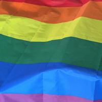 Bandera Arcoíris De Poliéster Para Exterior Grande Banderín De Fiesta LGBT Bandera Colgante De Paz (90x150cm) Para Exterior - details 3