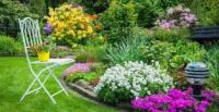 Fertilizante Líquido Orgánico Concentrado 1 Litro - Plantas Interior y Exterior - Alimento Nutritivo para Plantas - Potenciador del Suelo para Jardín, Flores, Verduras, Suculentas - Hormonas y Moleculas Naturales - Agrobull Booster-Seed - details 2