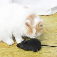 Juguete De Gato Divertido Con Control Remoto Ratón Multicolor Juguete Inalámbrico Para Mascotas Ratoncillo Para Gatos Suministros Para Mascotas - details 1