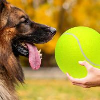 Bolas De Tenis Gigantes De 9.5 Pulgadas Inflables Juguete Para Perros Y Gatos Divertido Para Niños Y Adultos - details 7