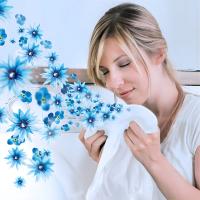 Lenor Classics 210g - Aroma Frescor de Abril - Perlas de Perfume para la Ropa. - details 1