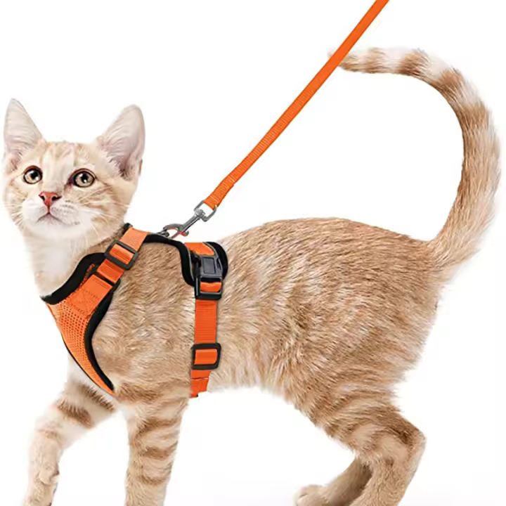 Correa Y Arnés Para Gatos Para Pasear Resistente Al Escape Vestido Suave Ajustable Fácil Control Para El Manejo De Los Gatos - 1