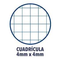 Oxford, 100hojas ,Recambio de Hojas Cuadriculadas A4 Perforadas. 4 Agujeros,  Recambio Archivador, 80+20 Hojas, Cuadrícula 4x4, con Margen, 90g de gramajes. Lineas Azules - details 4