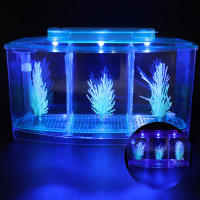 Tanque De Acuario Con LED Y División En Tres Secciones Para Cría Y Aislamiento De Pequeños Peces Tanque De Acrílico Para Acuarios - details 4