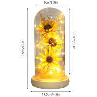 Lámpara De Solitario Artificial En Vaso Con Cordón LED Regalo Romántico Para Aniversario Flor De Técnica De Hoja Dura Material Vidrio - details 2