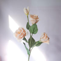 3PCS Flores Artificiales De Rosa Blanca Y Hojas De Eucalipto Peonía Bouquet Decoración Para Bodas Fiesta Vaso Hogar Sin Mantener Flores Naturales - details 10