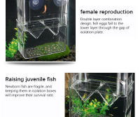 Nueva Incubadora De Peces Paon Azul En Acrílico Caja De Cría Acrílica Para Acuarios Tropicales Separador De Betta Tank Spawner Alec - details 3