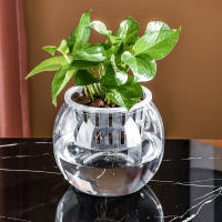 Maceta Autoabastecida Transparente De Plástico Para Plantas Y Acuarios Decoración Moderna Para Sala De Estar Y Oficina - details 12