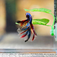 Planta Artificial Para Acuario Hojas Decorativas Para Descanso Y Reproducción De Betta Decoración De Juguete Para Peces Tamaño Único - details 3