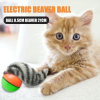 Juguete Interactivo Para Perros Y Gatos Electric Beaver Weasel Rolling Ball Entrenamiento Agilidad Animación Aleatoria Suministros Para Mascotas - details 4