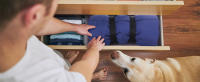 Nobleza - Cama para Perros Impermeable, Manta Grande Lavable para Perros,  Colchoneta para Perros para Viajes, Camping, Exterior, 110x68cm - details 3
