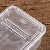 Caja De Cría Para Reptiles Acrílico Transparente 1 Pc Tanque De Tortugas Lagartos Insectos Y Araña Caja De Vitrum Para Mascotas - details 18