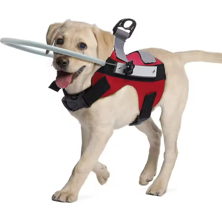 Device de Guía de Perro Ciego, Halo de Perro Ciego, Anillo anticolisión para mascotas para proteger Gatos y Perros con ceguera, Visión borrosa - 1