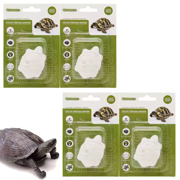 4 Pcs Bloque de Calcio para Tortugas Grande Natural Complemento Básico - 1