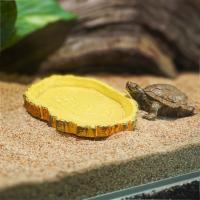 Tazón De Resina Para Reptiles Acuario De Alimentos Y Agua Para Tortugas Lagartos Escorpiones Caracoles Suministros De Mascotas Tipo De Alimento: Vegetal - details 4