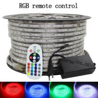 Tira LED Flexible RGB 5050 220V Luz Exterior Impermeable IP67 60leds/m Con Enchufe 5M/10M/15M Para Decoración De Hogar Y Jardín - details 0