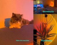 Lámpara De Puesta De Sol USB Proyector De Ambiente Para Decoración De Habitaciones Y Salones Luz Nocturna Para Bar Y Fotografía - details 21