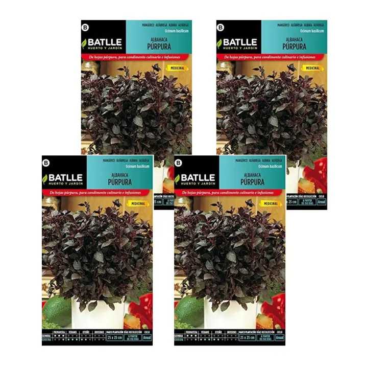 4 Sobres de Semillas de albahaca púrpura de Semillas Batlle. - 1