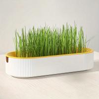 Caja De Plantación De Hierba Para Gatos Sin Semillas Caja De Semillero De Jardín Para Brotes De Semillas Set De Bandejas De Germinación De Semillas - details 8