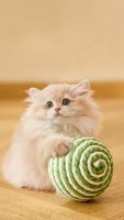 Bola De Madera Para Gatos 10CM Interactiva Con Sonidos Hecha a Mano Sisal Juguete Para Gatos Y Gatitos Para El Hogar - details 6