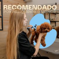 Cepillos profesionales para perros y gatos - cepillos para mascotas de pelo largo y corto - una herramienta eficaz para eliminar el pelo muerto y cuidar el pelaje de su mascota - details 1