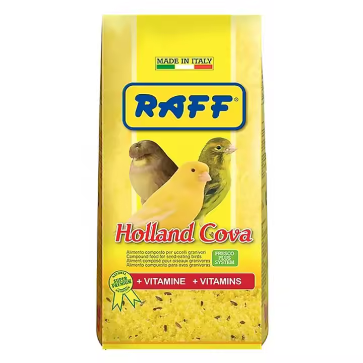 Holland Cova Raff Birds Pasta de Cria Pájaros - Alimento para Canarios con alto valor nutricional y sabroso - 1