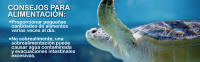 Nestq Pienso Nutritivo para Tortugas de Agua - 200g Sabor a Pescado - details 2