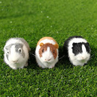 Muñeco De Peluche De Conejo De Guinea Simulación Felpa Suave Juguete De Peluche Figura De Animal Para Regalo De Cumpleaños Para Niños - details 5