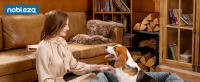 Nobleza - Cama Perros Cama para Perro Lavable con Fondo Antideslizante Cama para Mascotas de Felpa Suave y Mullida - details 0