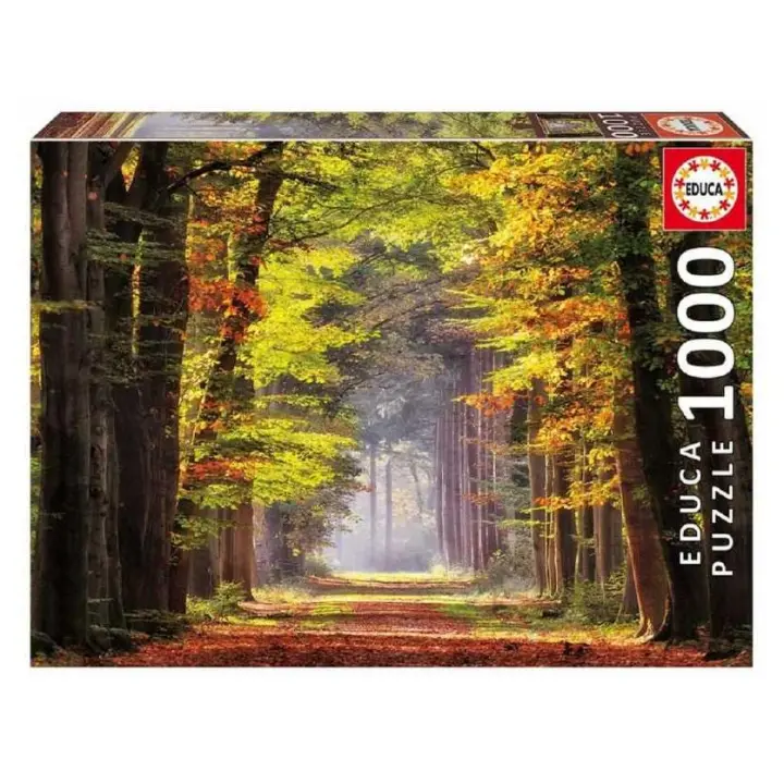 Puzzle 1000 piezas Paseo Otoñal Educa Borras - 1