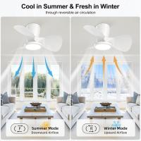 Ventilador de TECO Iluminado, LED 3CCT regulable, ventilador de techo, 6 velocidades, temporizador, adecuado para Sala de estar, dormitorio - details 0