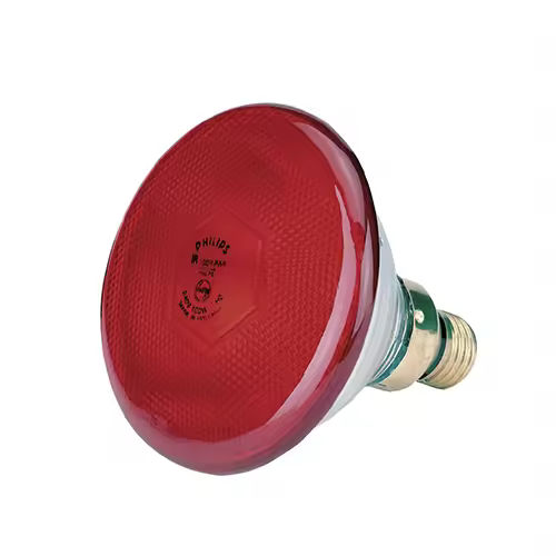 KERBL Bombilla Reforzada Philips 175 W, Roja - 1