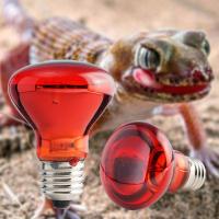 Lámpara De Calentamiento Infrarrojo E27 Para Peces Pájaros Plantas Reptiles Anfibios Y Ganado 25W-100W Herramienta De Aislamiento Térmico - details 16