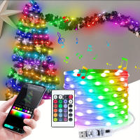 Cadena De Luces LED RGB WS2812B 20m 10m 5m DIY Inteligente IC APP Bluetooth Remote Para Jardín Fiesta Navidad Boda Decoración - details 8