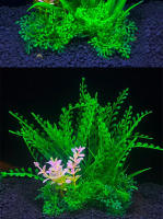 Adorno De Acuario Plantas Artificiales Simulación De Hierba De Agua Para Tanque De Peces Decoración De Plástico 5.5 Pulgadas - details 2