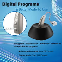 Audífono Digital con Carga Rápida Tipo-C, Programas Digitales, Reducción de Ruido, Batería de Larga Duración, Diseño Compacto y Cómodo, Para Personas con Pérdida de Audición Moderada y Profunda - details 2