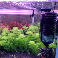 Filtro Bioquímico De Esponja Eléctrico Para Acuario Oxygenación De Bacterias Tanque De Peces Carbón Espuma Koi Aquascaping - details 11