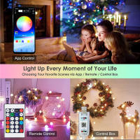 Luces De Cadena LED Faeir Para Bodas Y Fiestas Navideñas Impermeables Con Cambio De Color Rainbow Decoración De Hogar Irregular DC Auto-Contenida - details 1
