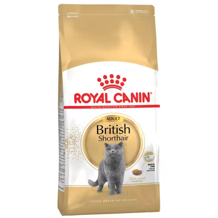 Royal Canin British Shorthair Adult 2KG - 1