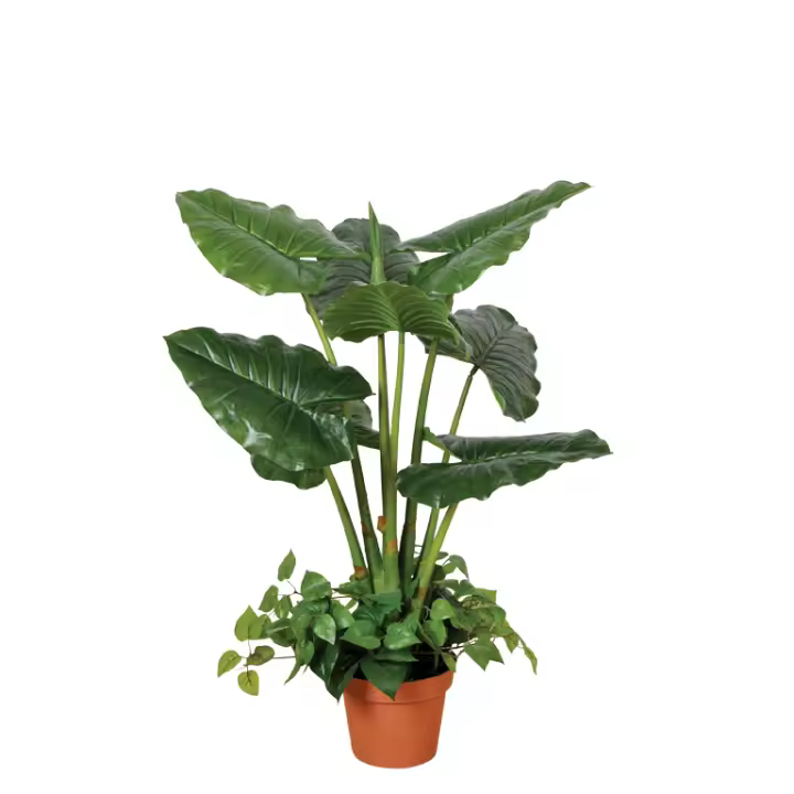 Catral | Planta Artificial Taro 100 Cm | Plantas Artificiales Realistas | Decoración Para Hogar Y Oficina | Planta Artificial Grande | Perfecta Para Ambientes Modernos - 1